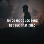 đời nhạt nhoà