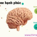 hóc môn hạnh phúc