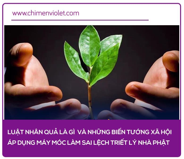 luật nhân quả