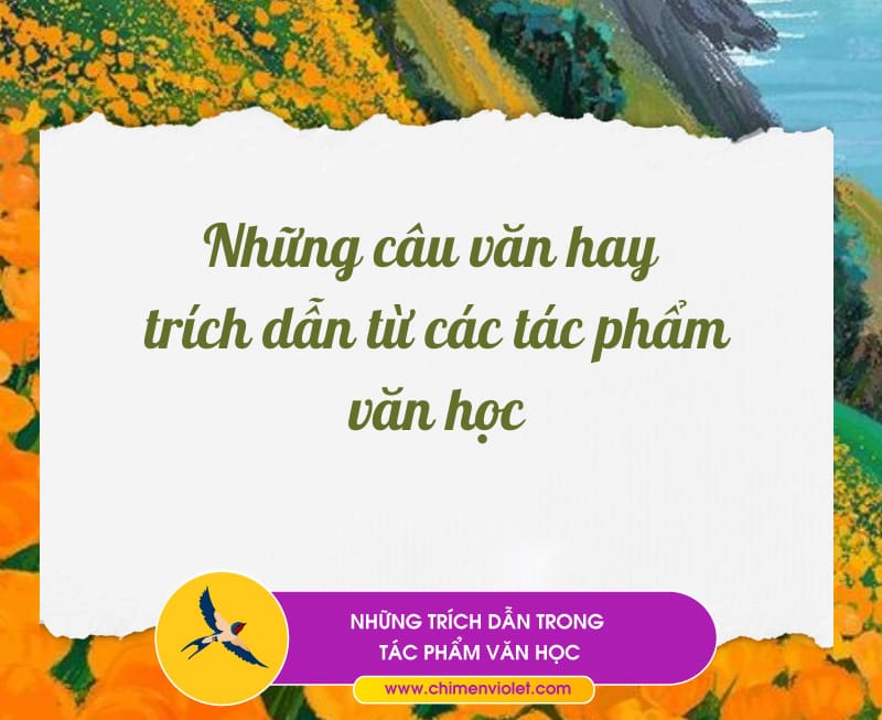 trích dẫn tiểu thuyết van học