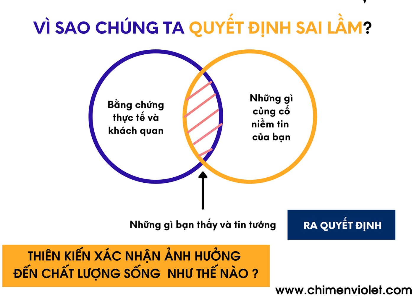Hội chứng thiên kiến xác nhận là gì ?  Mức độ ảnh hưởng ?
