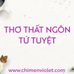 Những bài thơ tứ tuyệt của tôi 12 thơ thất ngôn tứ tuyệt