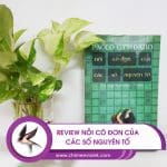 Review : nỗi cô đơn của các số nguyên tố - Paolo Giordano 16 Nỗi cô đơn của các số nguyên tố