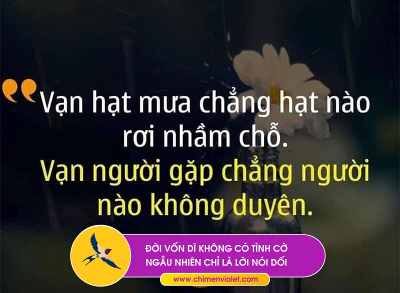 tình cờ