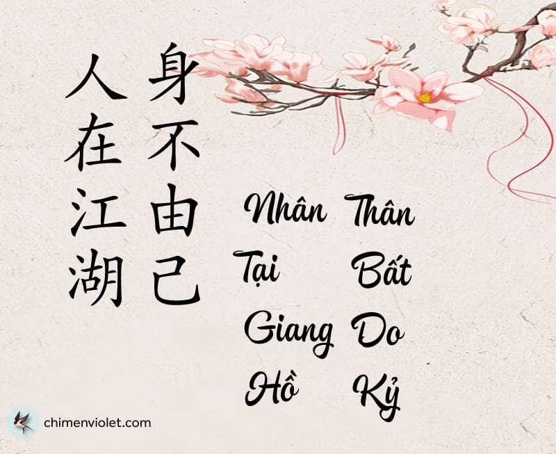 nhân tại giang hồ thân bất do kỳ