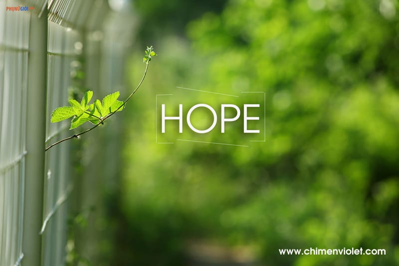Hy vọng là nguồn cơn của nỗi sợ hãi 2 hy vọng