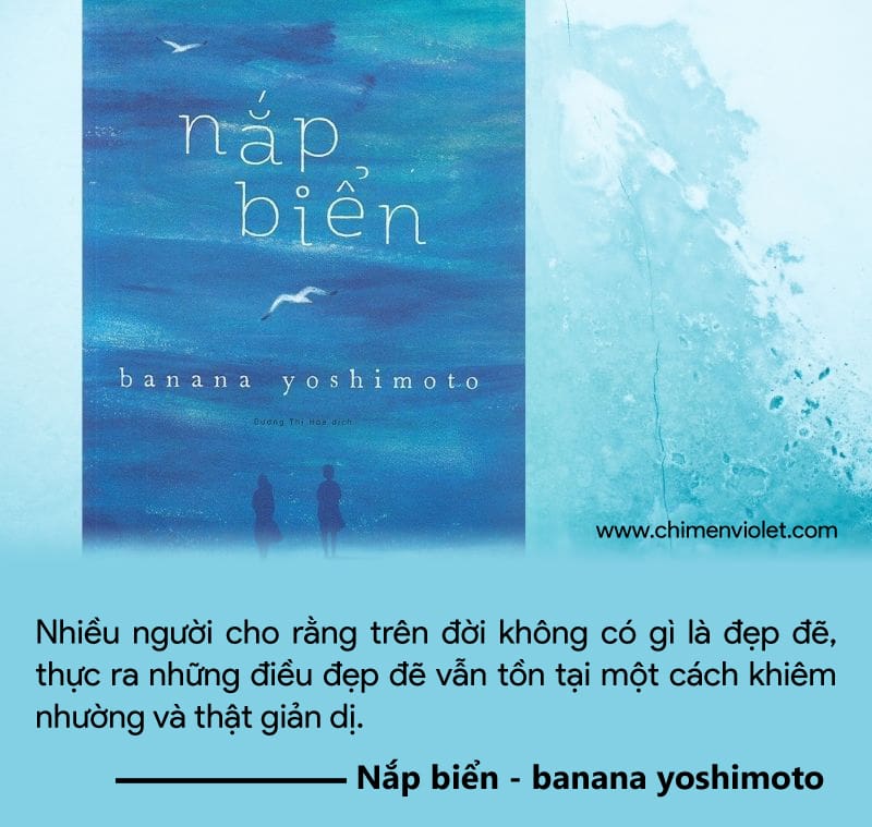 trích dẫn nắp biển
