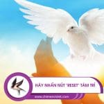 Hãy nhấn nút và reset tâm trí 5 reset tâm trí