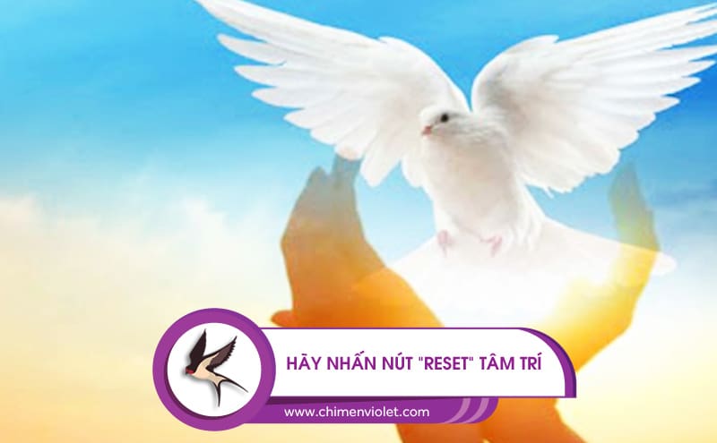 reset tâm trí