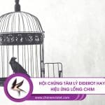 Hiệu ứng Diderot