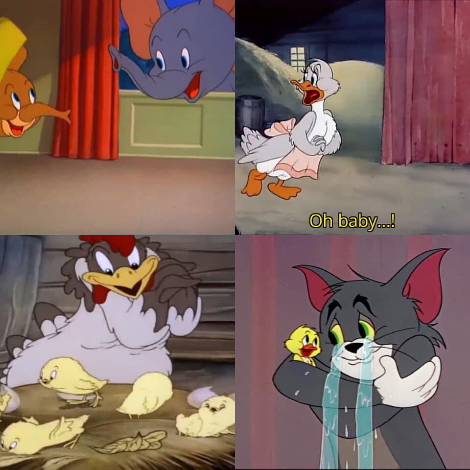 Những bài học từ phim Tom and Jerry 11 lương thiện
