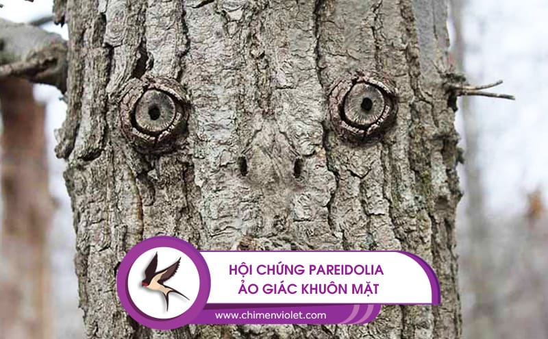 Hội chứng Pareidolia