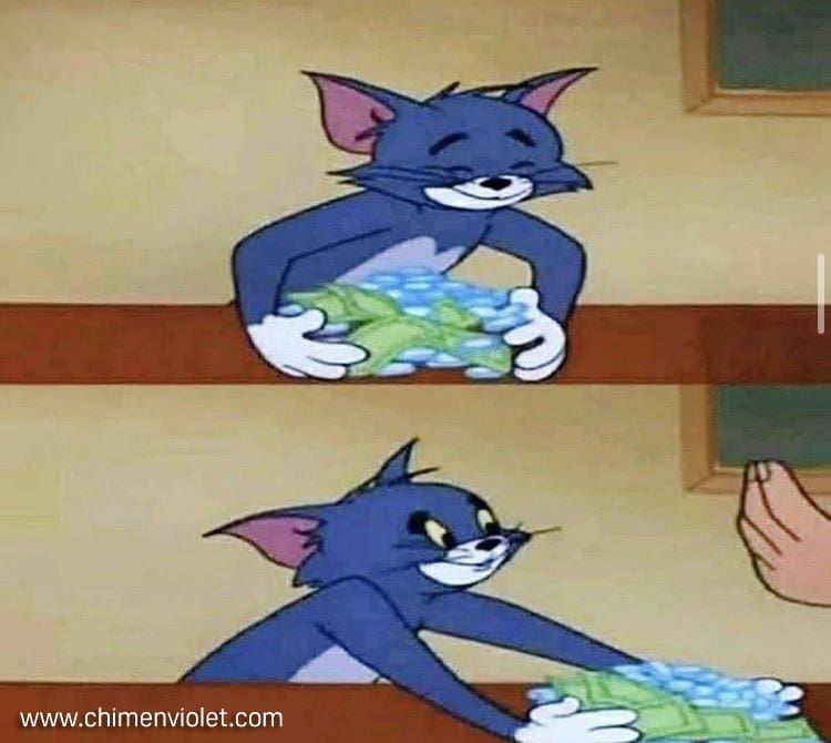 Những bài học từ phim Tom and Jerry 5 mèo tom