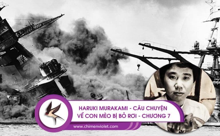 Câu chuyện về con mèo bị bỏ rơi