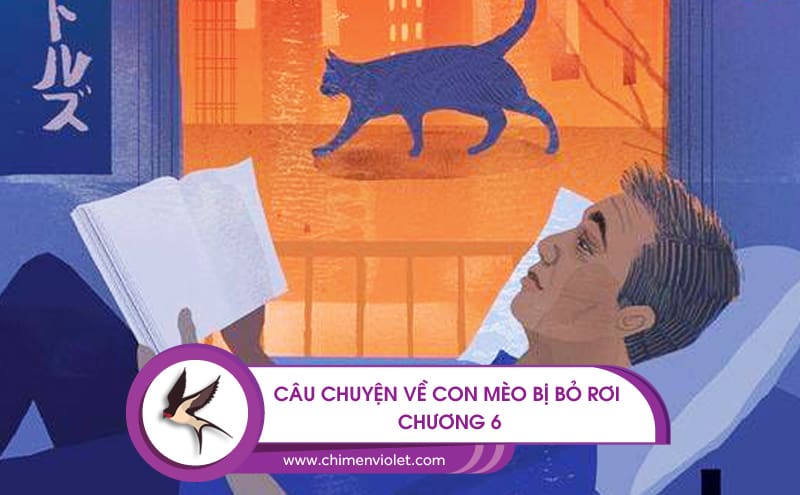 – Câu chuyện về con mèo bị bỏ rơi –