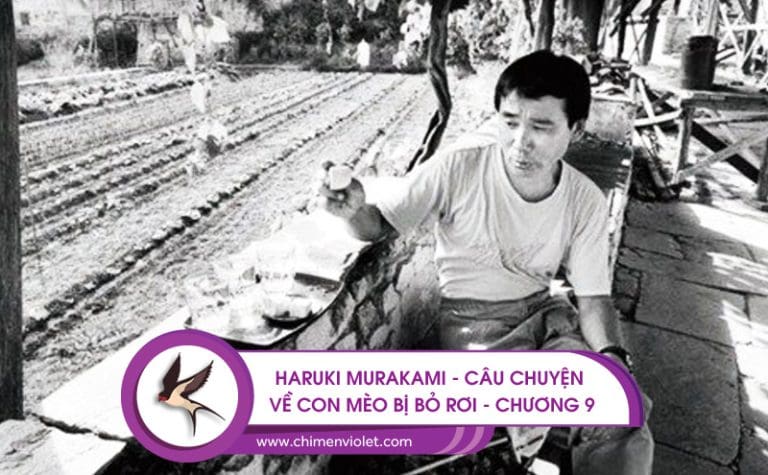 Câu chuyện về con mèo bị bỏ rơi