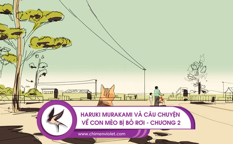 Câu chuyện con mèo bị bỏ rơi