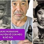 Haruki Murakami - Câu chuyện về con mèo bị bỏ rơi 10 Haruki Murakami và mèo