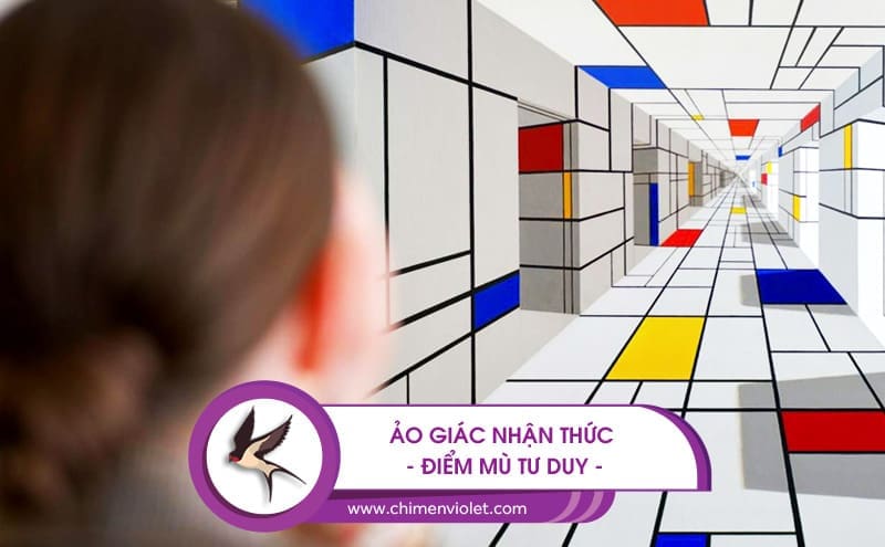 Ảo giác nhận thức