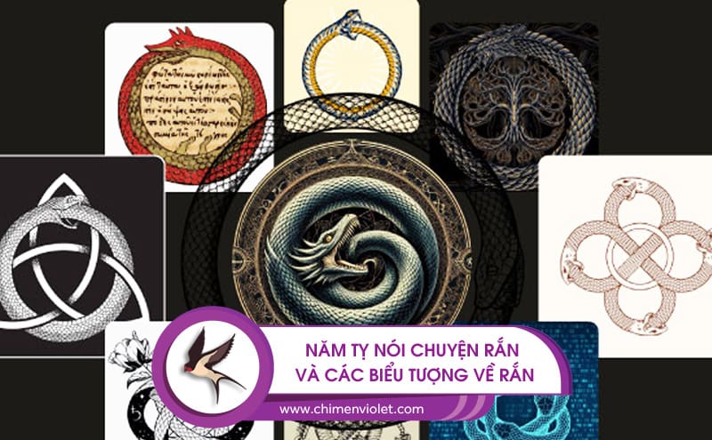 Rắn biểu tượng văn hoá