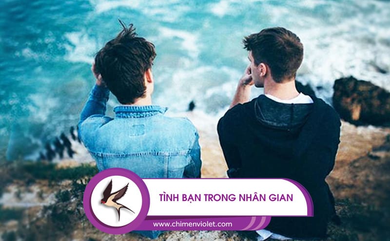 Tình bạn