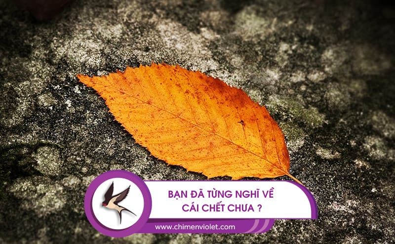 Cái chết