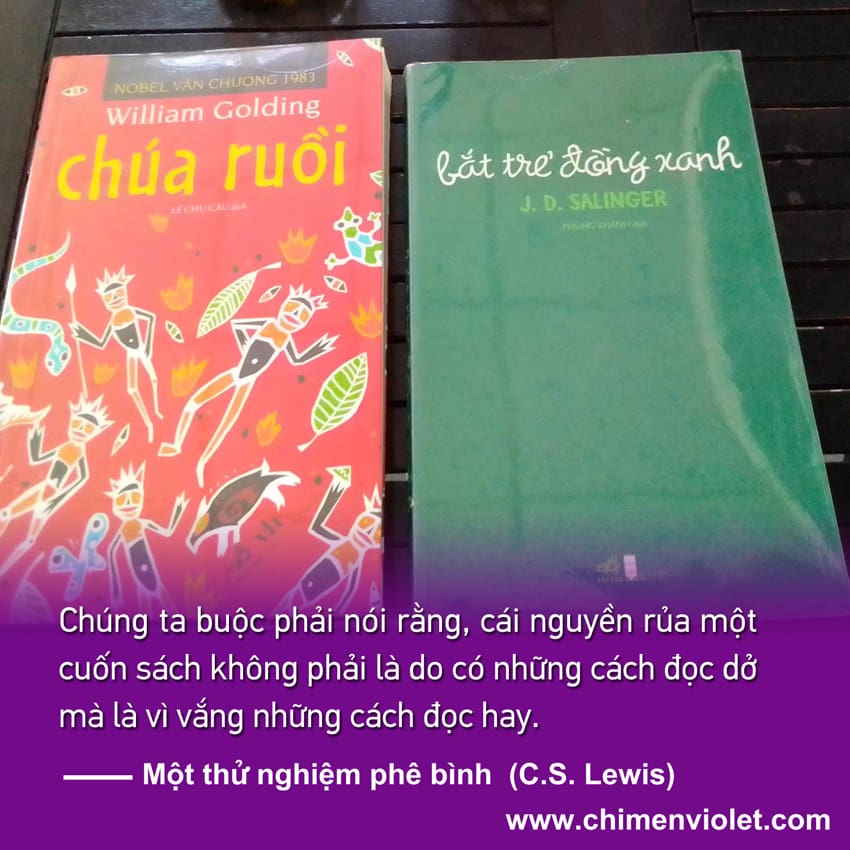 Kinh nghiệm đọc tác phẩm văn học kinh điển 3 Chúa ruồi và Bắt trẻ đồng xanh