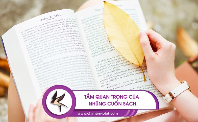 tầm quan trọng của sách