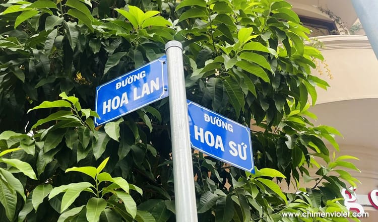 Cuộc đời mỗi người không ai giống ai 2 đường hoa sứ phú nhuận