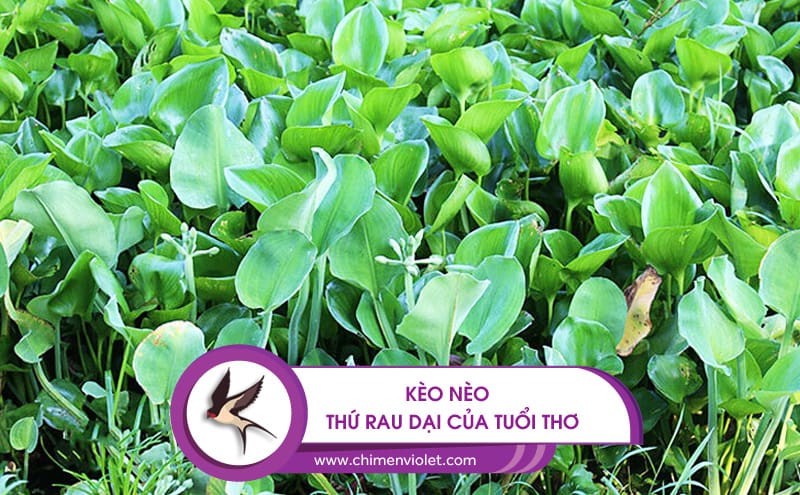 Rau kèo nèo