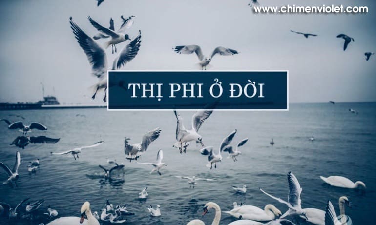 8 tư duy khắc kỷ giúp bạn tránh thị phi 3 đời thị phi