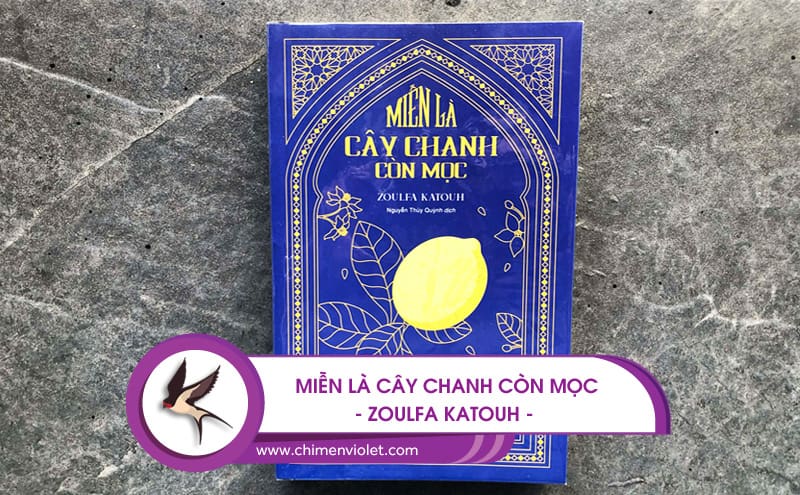 miễn là cây chanh còn mọc