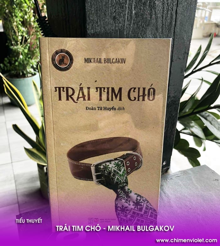 Review trái tim chó Mikhail Bulgakov 4 trái tim chó Mikhail Bulgakov