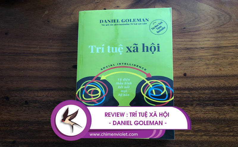 Trí tuệ xã hội