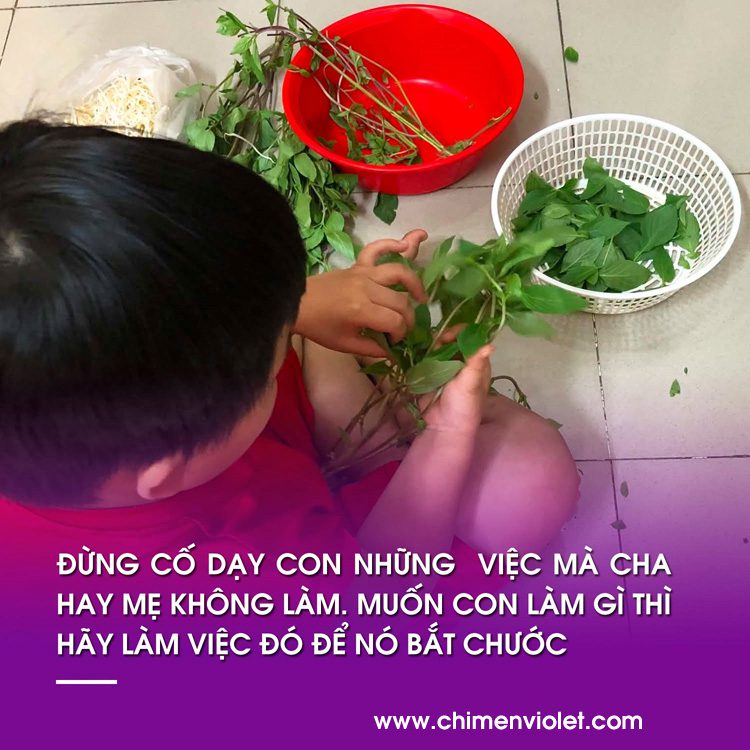 Cách tôi dạy con trai 2 Dạy con